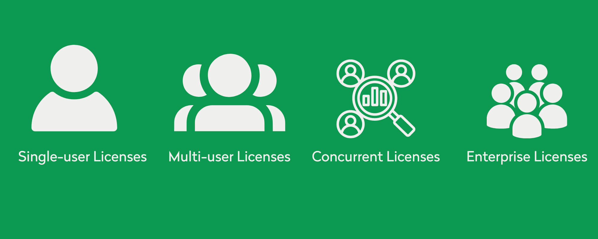 SaaS licenses infographic
